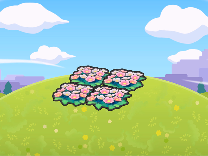 Parterre de fleurs en altitude