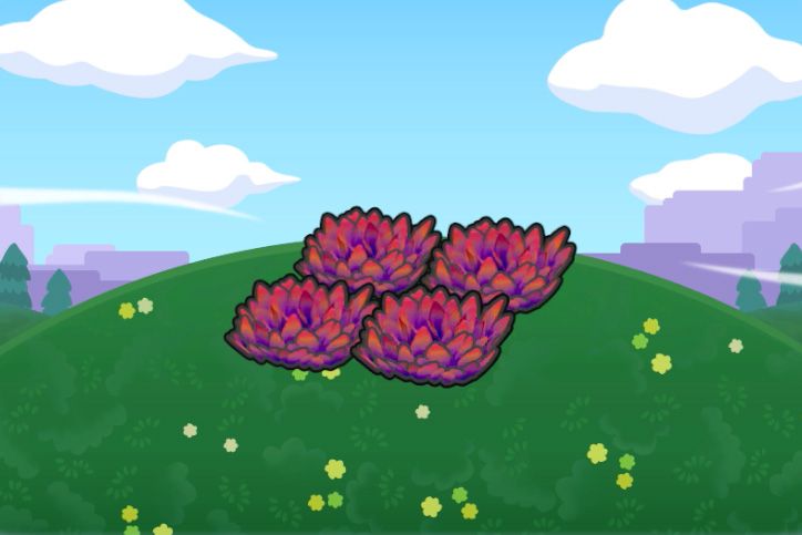 Hautes herbes rouges en altitude