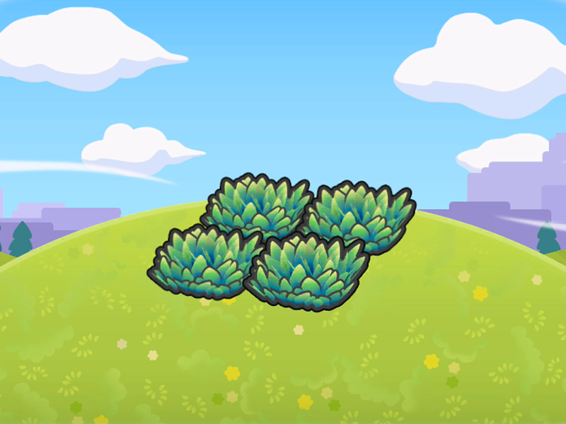 Hautes herbes en altitude