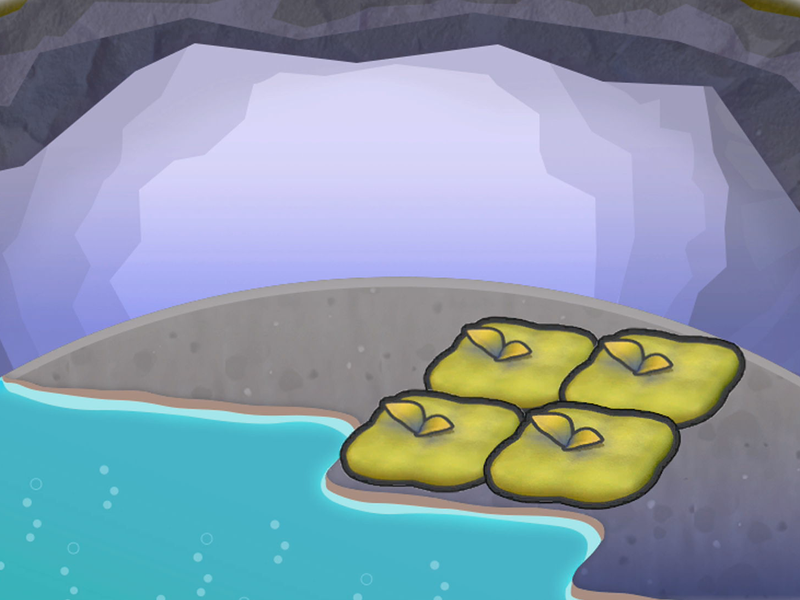 Source chaude moussue