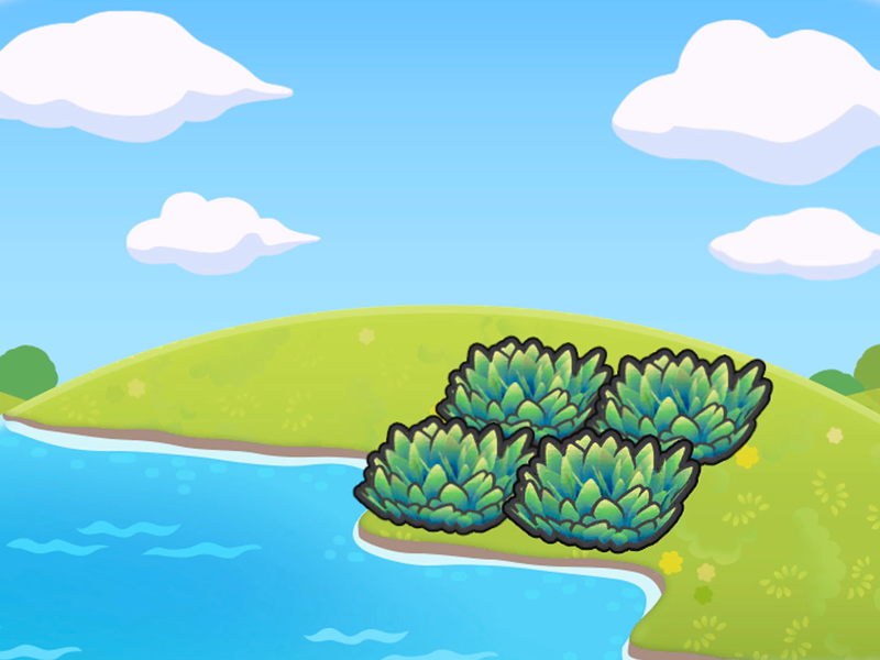 Hautes herbes en bord de mer