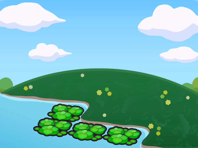 Étang avec plantes flottantes