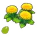 Graines de fleurs paisibles