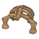 Fossile Bouclier (tête)