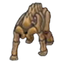 Fossile Toundra (tronc)