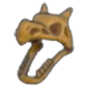 Fossile Aile (Tête)