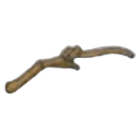 Fossile Aile (aile gauche)