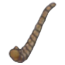 Fossile Aile (queue)